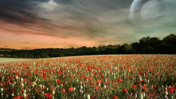 什么时候你发现和农村父母渐行渐远？